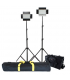 Falcon Eyes LED Lamp Set Dimmable DV-384CT with Lightstand and Bag